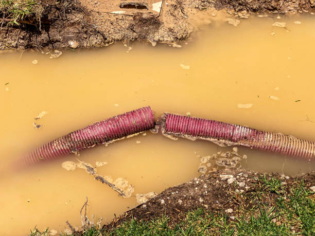 Best Basement water damage restoration  in Mooresville, NC